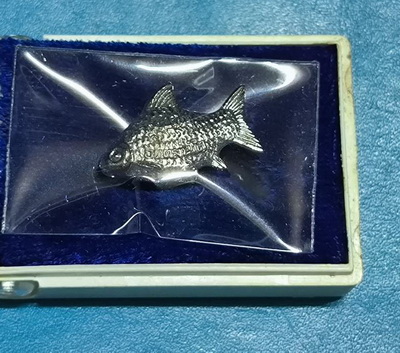 ปลาตะเพียน มหามงคล หลวงปู่ทิม วัดพระขาว 