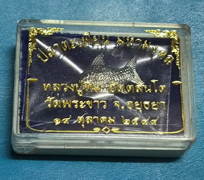 ปลาตะเพียน มหามงคล หลวงปู่ทิม วัดพระขาว 