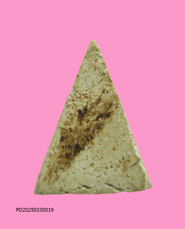 นางพญาเนื้อผงมีคราบ เก่า