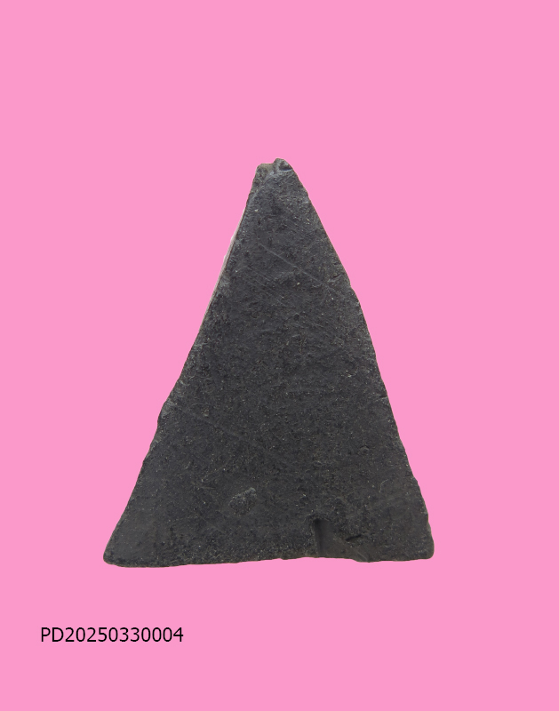 นางพญา หลวงพ่อปี่ วัดโคกท่าเจริญ หลังเรียบ (ยุคต้น)