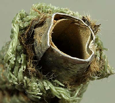 *ตะกรุดหนังเสือ อลูมีเนียม เชือกไนล่อนเขียว หลวงพ่อเปิ่น วัดบางพระ นครชัยศรี นครปฐม*