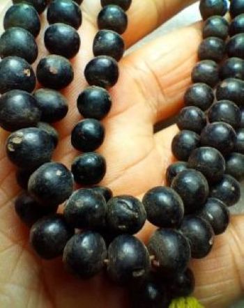 *ประคำคอ ๑๐๘ ว่านจุ่มรัก ครูบาบุญชุ่ม วัดพระธาตุดอนเรือง*