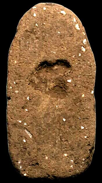 นาคปรก เนื้อดิน