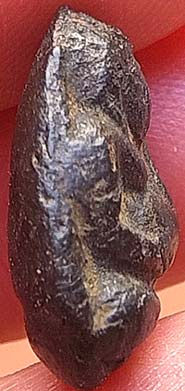 พระสังกัจจายน์ เนื้อดำ