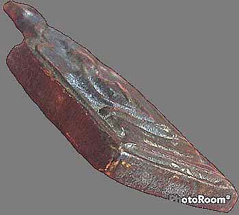 เหรียญหล่อฯ หูในตัว