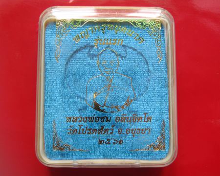 พญาครุฑหยุดนาค รุ่นรวยล้นฟ้า หลวงพ่อชม วัดโปรดสัตว์ จ.อยุธยา  เนื้อทองแดงเถื่อน ปี 61