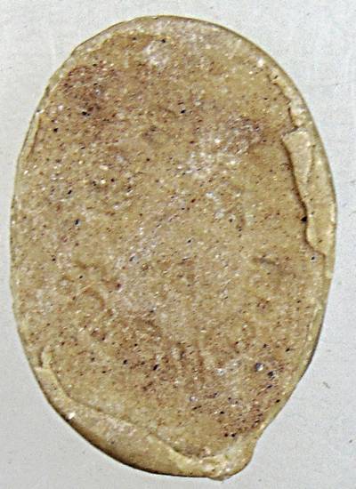 พระผงพุทธกวัก วัดเจริญธรรม อ.ภาชี จ.อยุธยา ปี 2518 หลวงปู่ดู่ วัดสะแก ร่วมปลุกเสก หายาก พิธีใหญ่