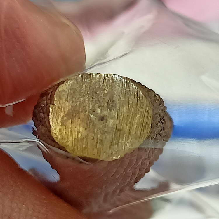 หลวงพ่อนาค รุ่นแรก วัดราชาธิวาส จ.กรุงเทพ เนื้อชนวนมวลสาร ผิวกลับสวย มันขลับ กล่องเดิม***ส่งฟรี