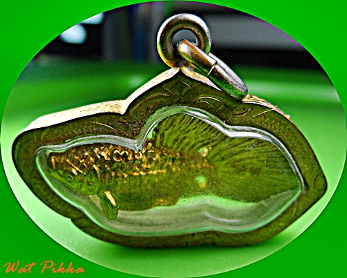 ปลากัดหลวงพ่อน่วม วัดโพธิ์ศรีเจริญ สุพรรณบุรี .E342.