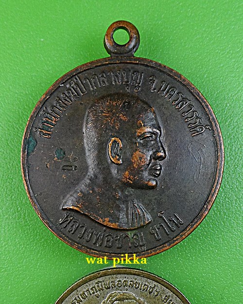 เหรียญหลวงพ่อชาญ สำนักสงฆ์ป่ากลางบุญ นครสวรรค์ .E582.*