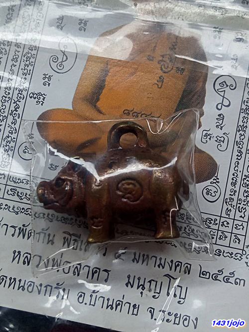 หมูหลวงพ่อสาคร วัดหนองกรับ พิธีเสาร์ 5 มหามงคล ปี 2553