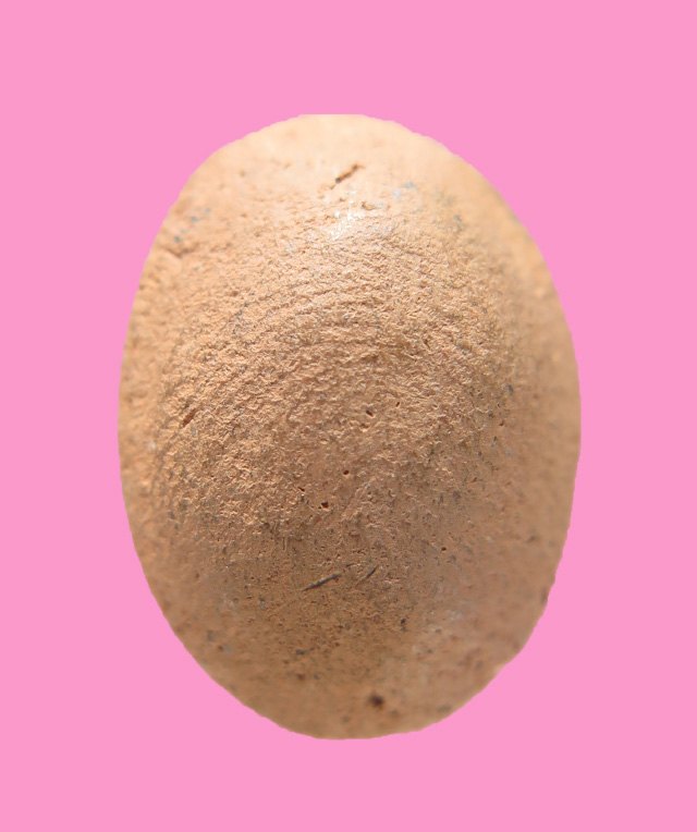 พระเนื้อดิน พิมพ์เม็ดบัว