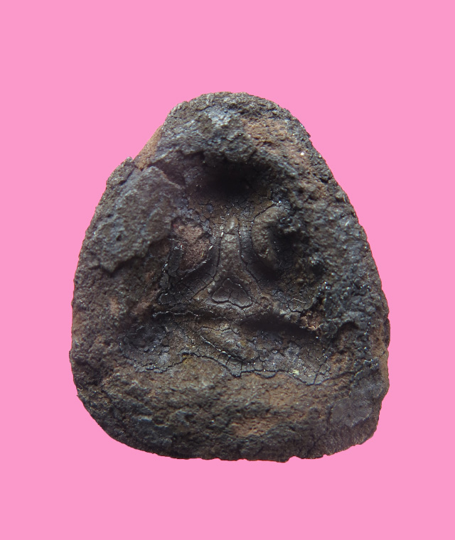 พระปิดตาเนื้อว่าน หลังแบบ เคยเคลือบ