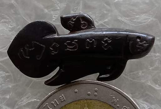 ปลากัดเรียกโชค เรียกลาภ หลวงพ่อน่วม วัดโพธิ์ศรีเจริญ จ.สุพรรณบุรี "เนื้อแร่" นิยม