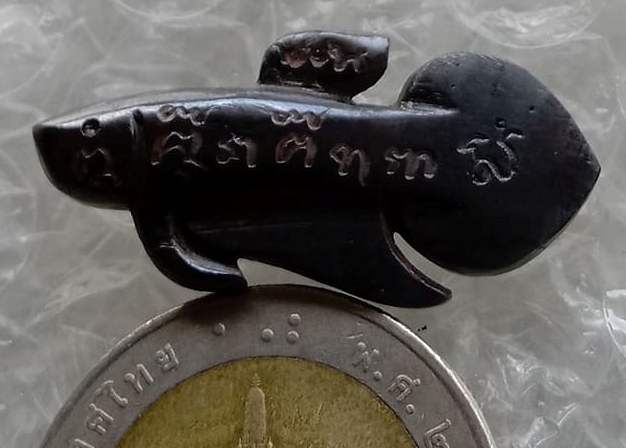 ปลากัดเรียกโชค เรียกลาภ หลวงพ่อน่วม วัดโพธิ์ศรีเจริญ จ.สุพรรณบุรี "เนื้อแร่" นิยม