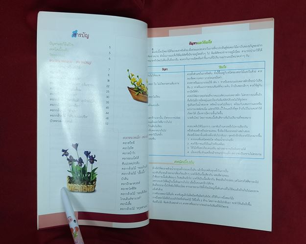 (ปิด59-)หนังสือการประดิษฐ์ดอกไม้จากดินไทย ขนาด17.7x25.7 ซ.ม. 100หน้า (สภาพมือ2)