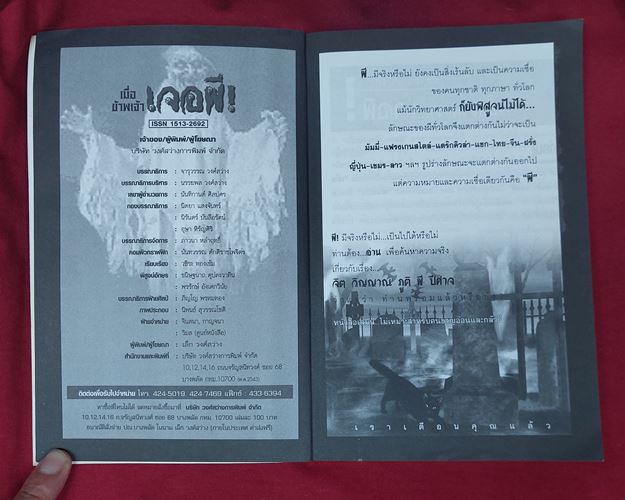 (ปิด49-)เมื่อข้าพเจ้าเจอผี รวมเรื่องผีเรื่องจริง ที่เราอยากให้คุณอ่าน 14.5x21.5ซ.ม. 240หน้า (มือ2)