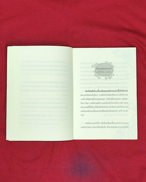 (ปิด59-) หนังสือไม่ได้ตั้งใจ..หลายรัก "โดยแตงโม" 14.5x19ซ.ม167หน้า (สภาพมือ2)