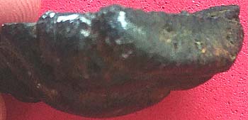 *พระสังกัจจายน์ครึ่งซีก เนื้อดินเผา หลวงพ่อกวย วัดโฆสิตาราม ชัยนาท*