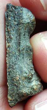 พิมพ์ผงสุพรรณฯ เนื้อว่าน