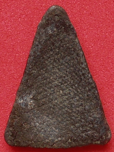 พระพุทธเนื้อชิน