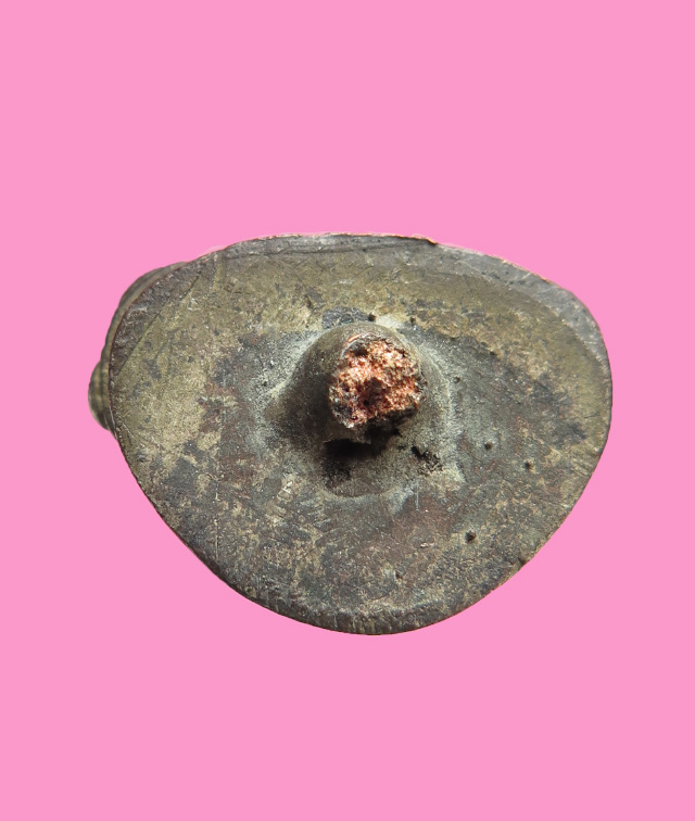 รูปหล่อ หักจากช่อ