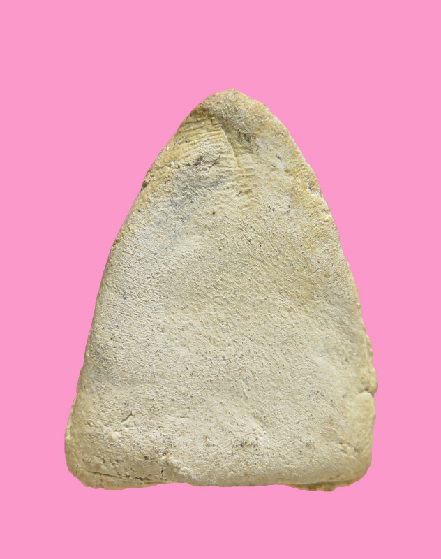 พระพิมพ์หลวงพ่อโต เนื้อผง