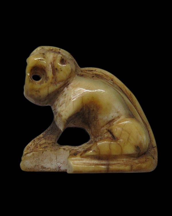 เขี้ยวเสือ หลวงพ่อปาน วัดมงคลโคธาวาส(วัดบางเหี้ย) จ.สมุทรปราการ