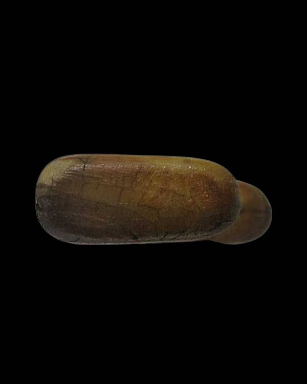 เขี้ยวเสือพิมพ์หุบปากเขี้ยวซีก หลวงพ่อปาน วัดมงคลโคธาวาส(วัดบางเหี้ย) จ.สมุทรปราการ