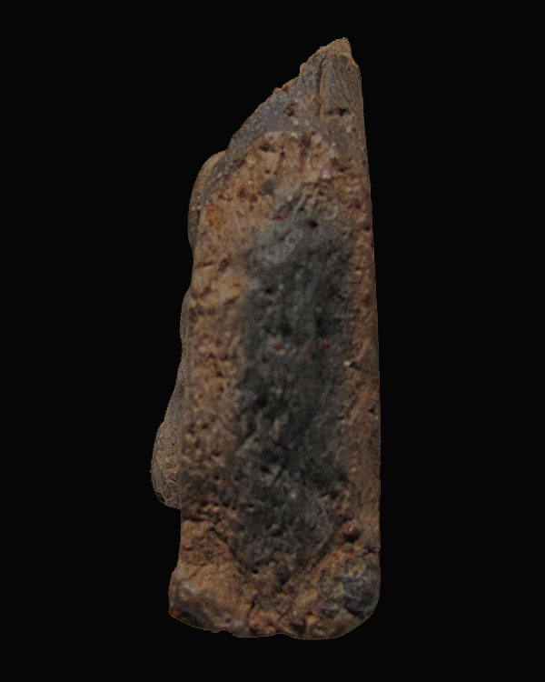 พระกรุวัดกระชาย พิมพ์ใหญ่มารวิชัย ตัดเดี่ยว เนื้อดิน จ.อยุธยา