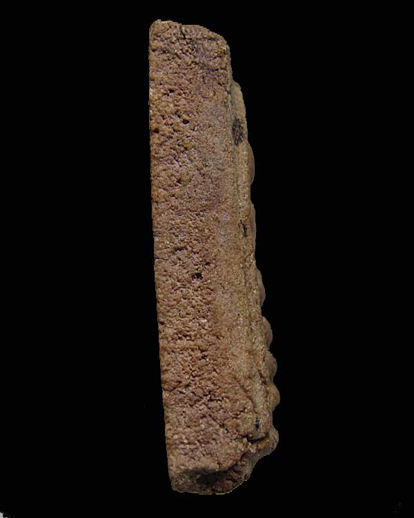 พระผงกระดูกผี พิมพ์เศียรโต อาจารย์หนู วัดโพธิ์ ท่าเตียน กทม.