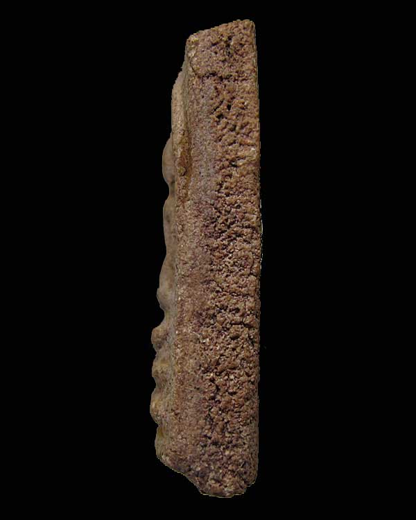 พระผงกระดูกผี พิมพ์เศียรโต อาจารย์หนู วัดโพธิ์ ท่าเตียน กทม.