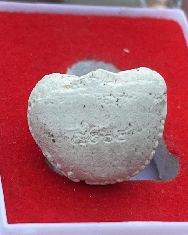 หลวงพ่อพัฒน์ ปุญฺญกาโม วัดห้วยด้วน จ.นครสวรรค์ รุ่นพระปิดตารวยทันใจ 3