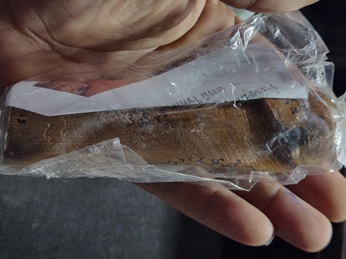 วัดไผ่ลูกนก อ.สวนแตง สุพรรณบุรี ปลัดขิกพยัคฆ์คำราม หลวงพ่อไลย์