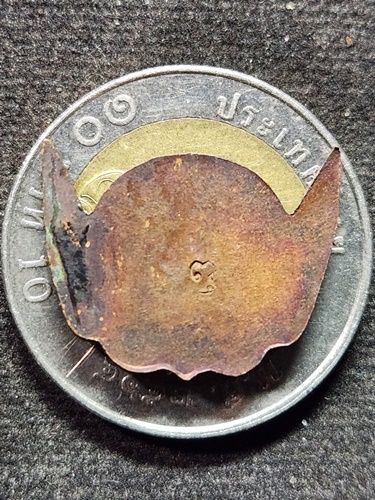 อุทยานพระฤาษีใหญ่ที่สุดในโลก จ.สุพรรณบุรี เหรียญเศียรพระพิราพ  ฤาษีพยัคฆราชมุนี (อ.พล พยัคฆราช)