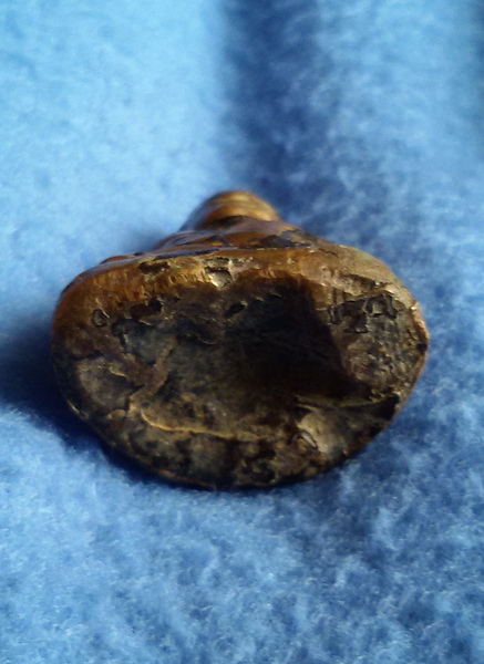 รูปหล่อ หลวงพ่อเงิน วัดบางคลาน จ. พิจิตร จุ่มรัก ปิดทอง