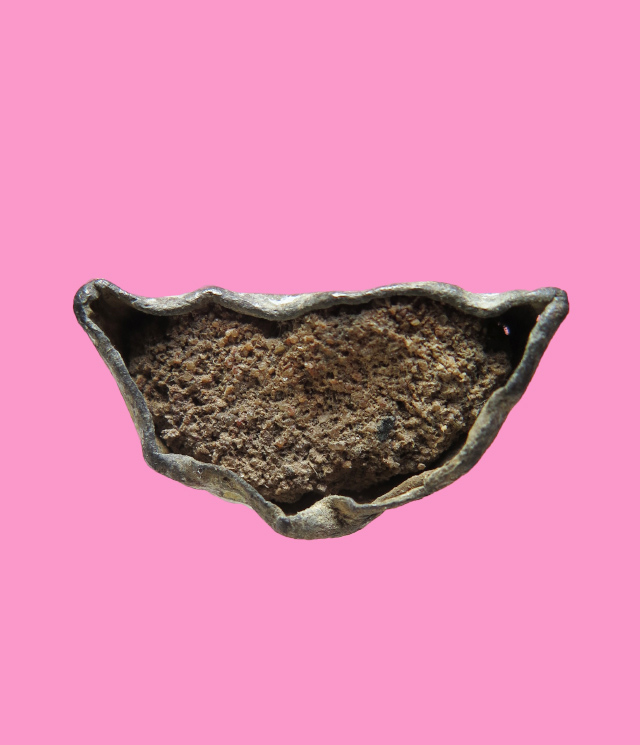 พระชัยประสบโชค (แก้บน) สำหรับผู้ต้องการศึกษาเนื้อชิน ไม่ควรพลาด องค์นี้มีทั้งไขเยอะ 