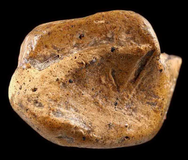 เขียวแพงแดงหายากพระคงกรุเก่า บิ่นตามภาพ ไม่มีหักอุดซ่อม รับประกันพระแท้ตลอดชีพ