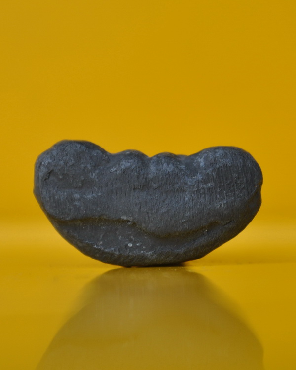 พระปิดตา หลวงพ่อชำนาญ วัดบางกุฎีทอง 