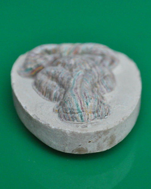 ปิดตาจัมโบ้รุ่นพิเศษ หลวงพ่อแพ วัดพิกุลทอง 