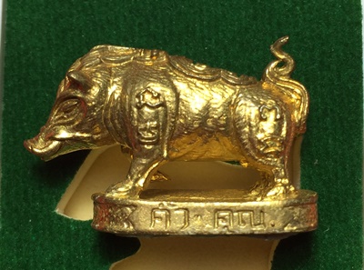 หมูมหามงคลคูณทอง หลวงพ่อคูณ วัดบ้านไร่ ปี2553 เนื้อทองทิพย์ ใต้ฐานอุดผงจีวรเกศา+ตะกรุด เลข1445+กล่อง