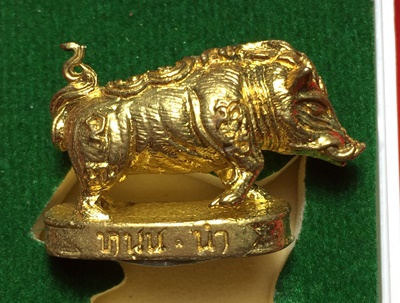 หมูมหามงคลคูณทอง หลวงพ่อคูณ วัดบ้านไร่ ปี2553 เนื้อทองทิพย์ ใต้ฐานอุดผงจีวรเกศา+ตะกรุด เลข3796+กล่อง