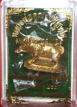 หมูมหามงคลคูณทอง หลวงพ่อคูณ วัดบ้านไร่ ปี2553 เนื้อทองทิพย์ ใต้ฐานอุดผงจีวรเกศา+ตะกรุด เลข4274+กล่อง