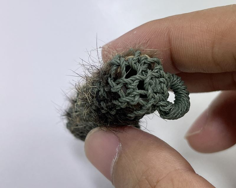 ตะกรุดหนังเสือ ถักเชือกเขียว (เมตตา-มหาอำนาจ-คุ้มภัย) หลวงพ่อเปิ่น วัดบางพระ จ.นครปฐม