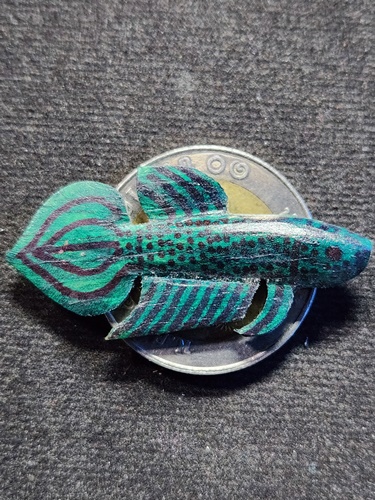 วัดโพธิ์ศรีเจริญ สุพรรณบุรี ปลากัด หลวงพ่อน่วม  เนื้อไม้ลงสีเขียว เจ้าตำรับปลากัด นะ มหาสำเร็จ