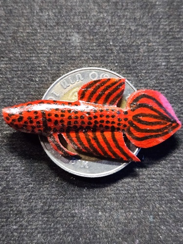 วัดโพธิ์ศรีเจริญ สุพรรณบุรี ปลากัด หลวงพ่อน่วม  เนื้อไม้ลงสีแดง เจ้าตำรับปลากัด นะ มหาสำเร็จ