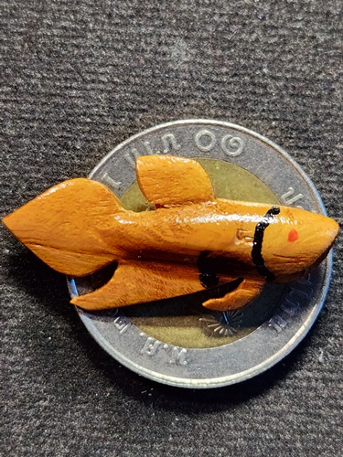 วัดโพธิ์ศรีเจริญ จ.สุพรรณบุรี ปลากัด หลวงพ่อน่วม ไม้ขนุน