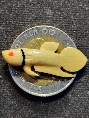 วัดโพธิ์ศรีเจริญ จ.สุพรรณบุรี ปลากัด หลวงพ่อน่วม ไม้วาสนา