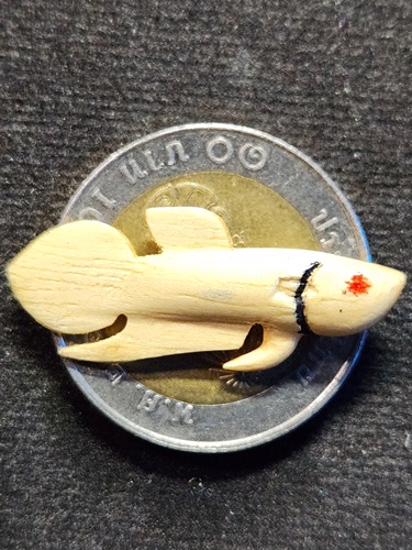 วัดโพธิ์ศรีเจริญ จ.สุพรรณบุรี ปลากัด หลวงพ่อน่วม ไม้วาสนา