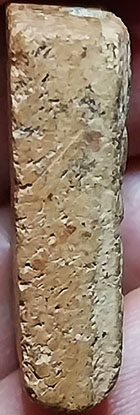 *พิมพ์ทรงสิงห์ เนื้อดิน หลวงพ่อผาด กรุวัดดงตาล ลพบุรี  หลวงพ่อปาน วัดบางนมโค ปลุกเสก*